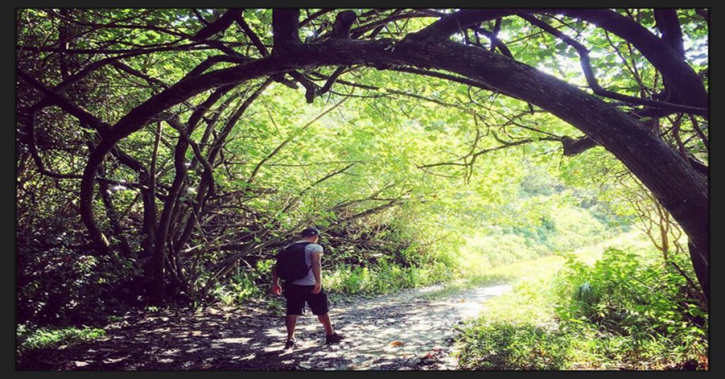 Examples of the Hero's Journey 